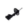 FCS Struts 334103R Suspension Strut