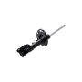 FCS Struts 334108R Suspension Strut
