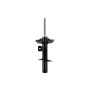 FCS Struts 334112L Suspension Strut