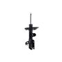 FCS Struts 334113L Suspension Strut