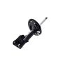 FCS Struts 334113R Suspension Strut