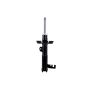 FCS Struts 334124R Suspension Strut