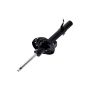 FCS Struts 334138L Suspension Strut