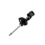 FCS Struts 334148R Suspension Strut