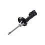 FCS Struts 334162L Suspension Strut