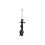 FCS Struts 334221L Suspension Strut