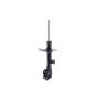 FCS Struts 334283L Suspension Strut