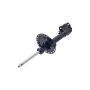FCS Struts 334283L Suspension Strut