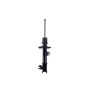 FCS Struts 334299L Suspension Strut