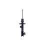 FCS Struts 334299R Suspension Strut