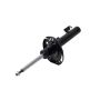 FCS Struts 334303R Suspension Strut