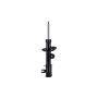 FCS Struts 334308R Suspension Strut