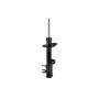 FCS Struts 334309R Suspension Strut