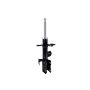 FCS Struts 334317R Suspension Strut