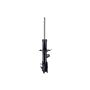 FCS Struts 334323R Suspension Strut