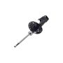 FCS Struts 334329L Suspension Strut