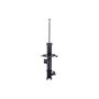 FCS Struts 334332L Suspension Strut