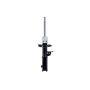 FCS Struts 334335L Suspension Strut