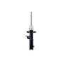 FCS Struts 334335R Suspension Strut