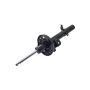 FCS Struts 334403L Suspension Strut