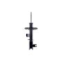 FCS Struts 334410R Suspension Strut