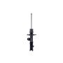 FCS Struts 334417R Suspension Strut