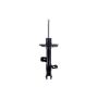 FCS Struts 334420R Suspension Strut
