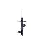 FCS Struts 334422L Suspension Strut