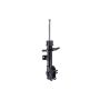 FCS Struts 334431R Suspension Strut