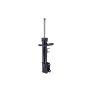 FCS Struts 334432R Suspension Strut