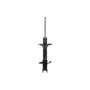 FCS Struts 334433L Suspension Strut