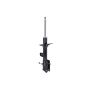 FCS Struts 334433R Suspension Strut