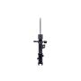 FCS Struts 334434L Suspension Strut