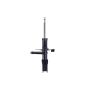 FCS Struts 334435R Suspension Strut