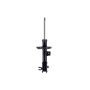 FCS Struts 334436L Suspension Strut