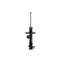 FCS Struts 334436R Suspension Strut