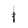 FCS Struts 334438L Suspension Strut