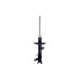FCS Struts 334442R Suspension Strut