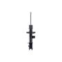 FCS Struts 334447R Suspension Strut