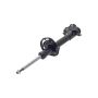 FCS Struts 334448R Suspension Strut
