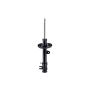 FCS Struts 334453R Suspension Strut