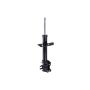 FCS Struts 334455L Suspension Strut