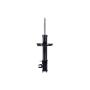 FCS Struts 334455L Suspension Strut