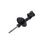FCS Struts 334455L Suspension Strut