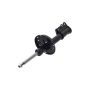 FCS Struts 334455R Suspension Strut