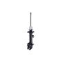 FCS Struts 334457R Suspension Strut