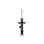 FCS Struts 334458L Suspension Strut