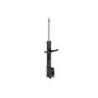 FCS Struts 334461 Suspension Strut