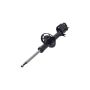 FCS Struts 334463L Suspension Strut