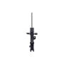 FCS Struts 334466R Suspension Strut